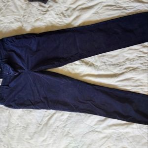 NWT Tommy Hilfiger Cropped Velvet Pants